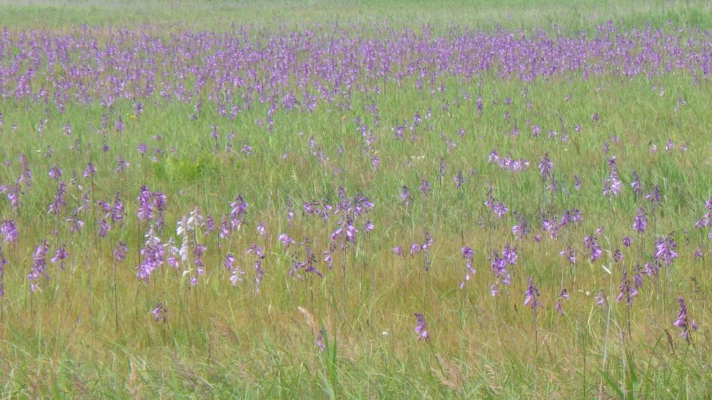 Hokkaido Kiritappuri旅馆 外观 照片