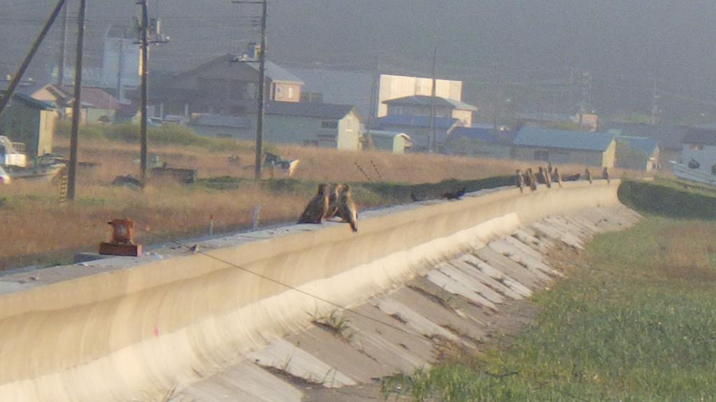 Hokkaido Kiritappuri旅馆 外观 照片